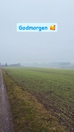 girafpingvin Image-Story