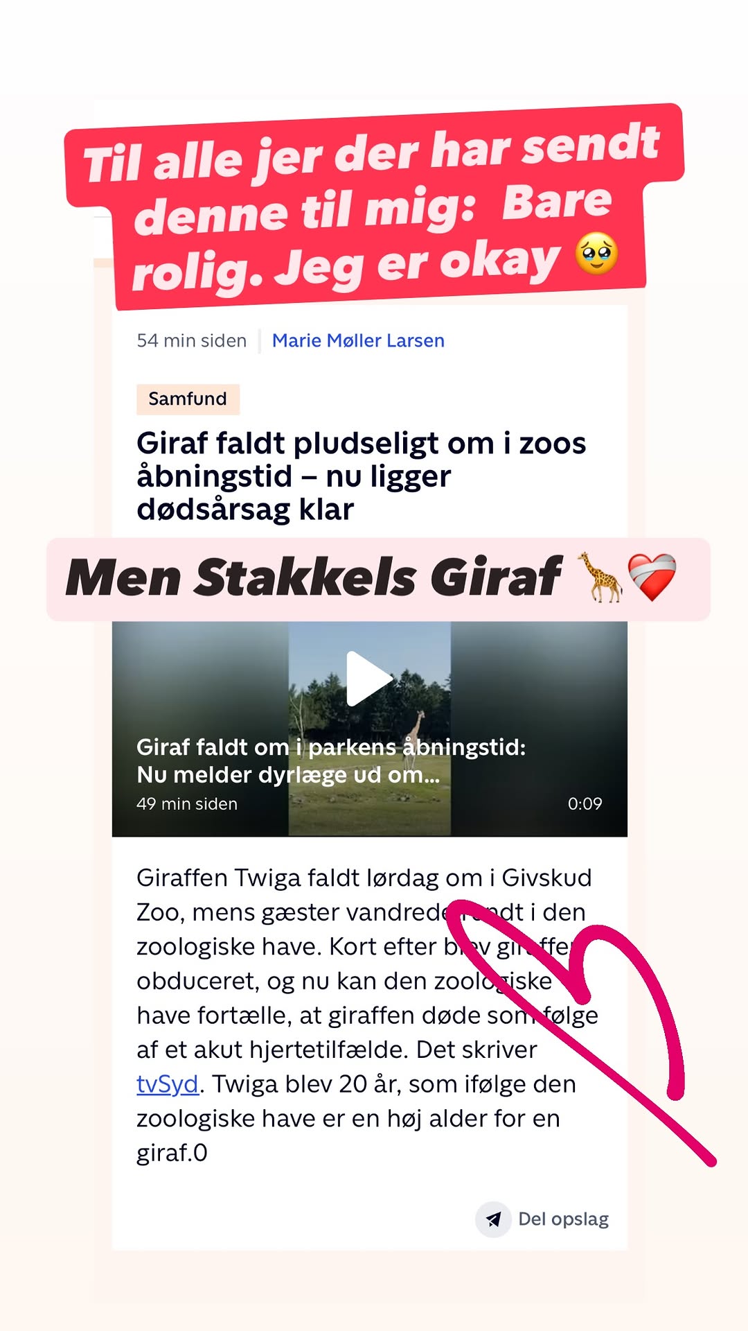 girafpingvin Video-Story
